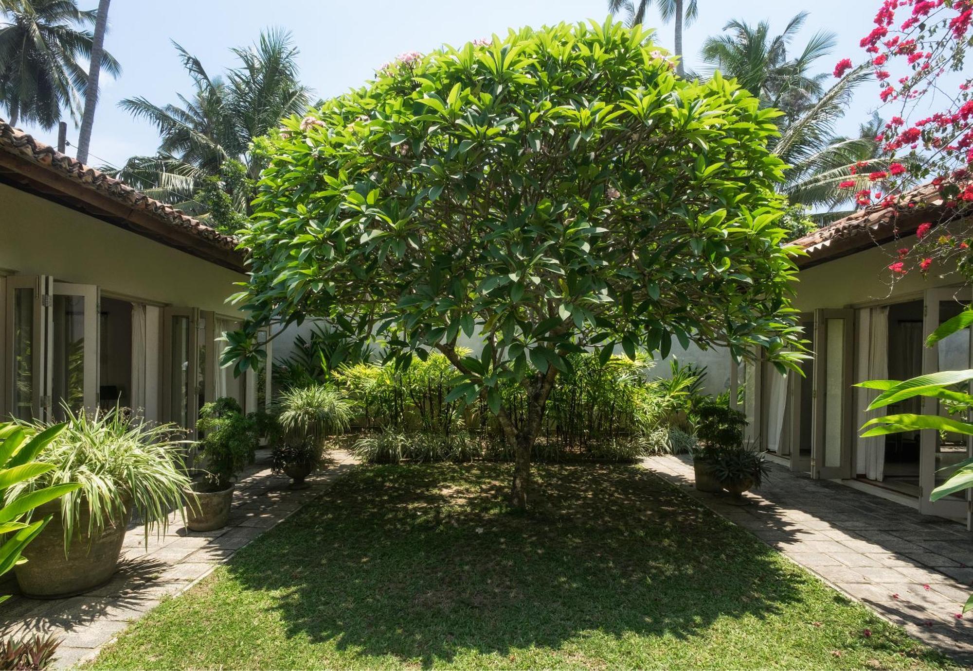 Elysium Unawatuna Exterior foto